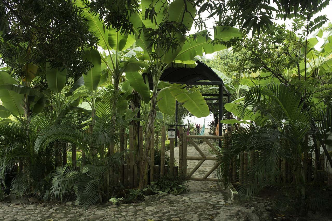 Hostal El Ruby Villavieja Exteriér fotografie