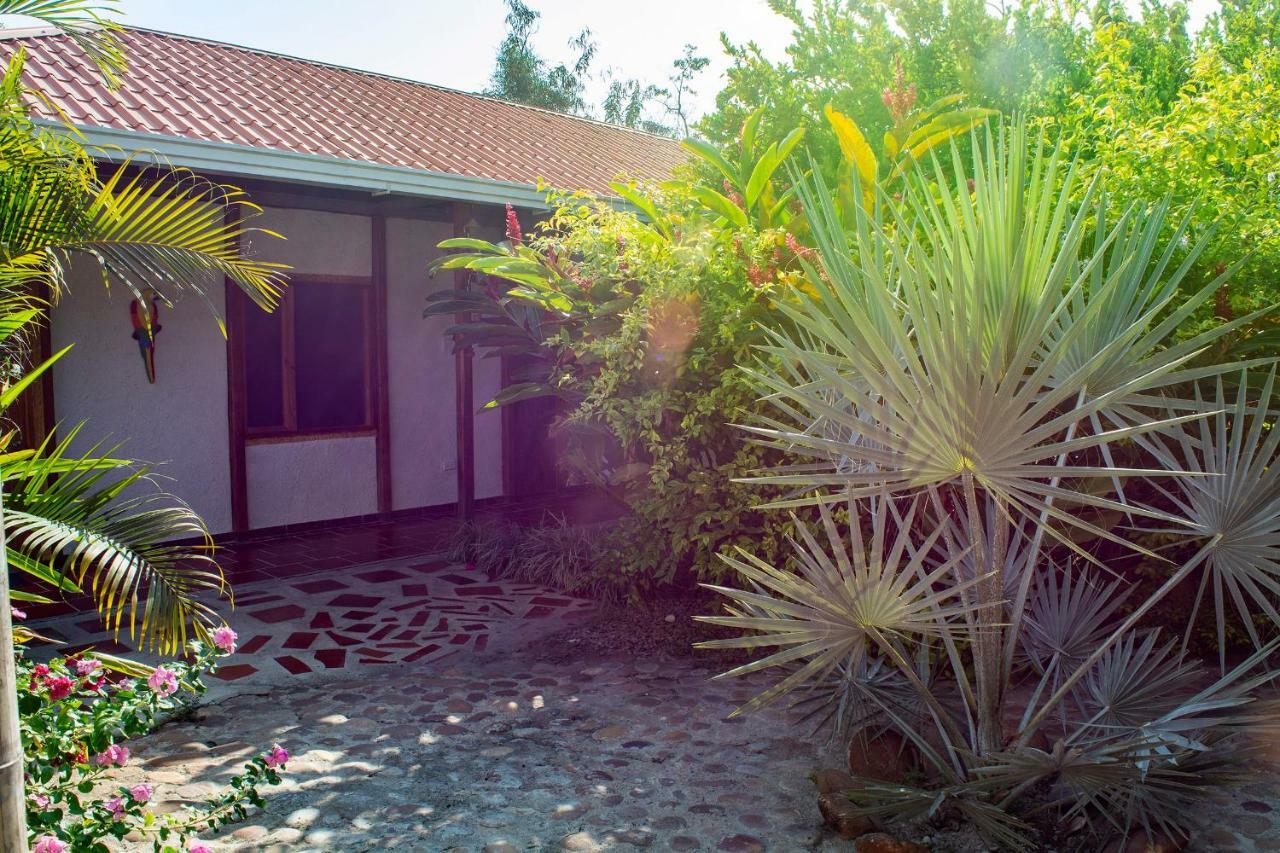 Hostal El Ruby Villavieja Exteriér fotografie